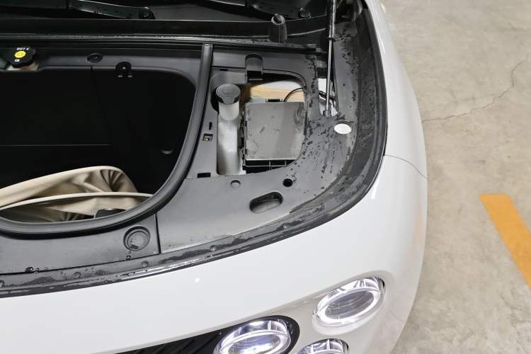 Used firefly 2025 Illuminated Edition Engine Bay Left