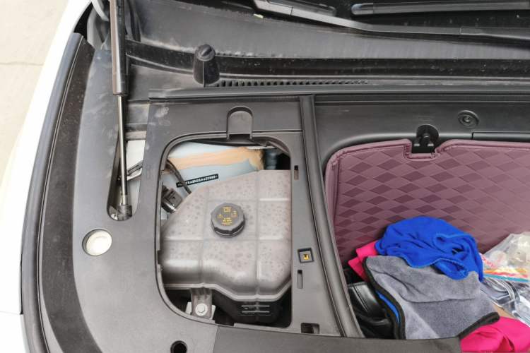 Used firefly 2025 Illuminated Edition Engine Bay Right