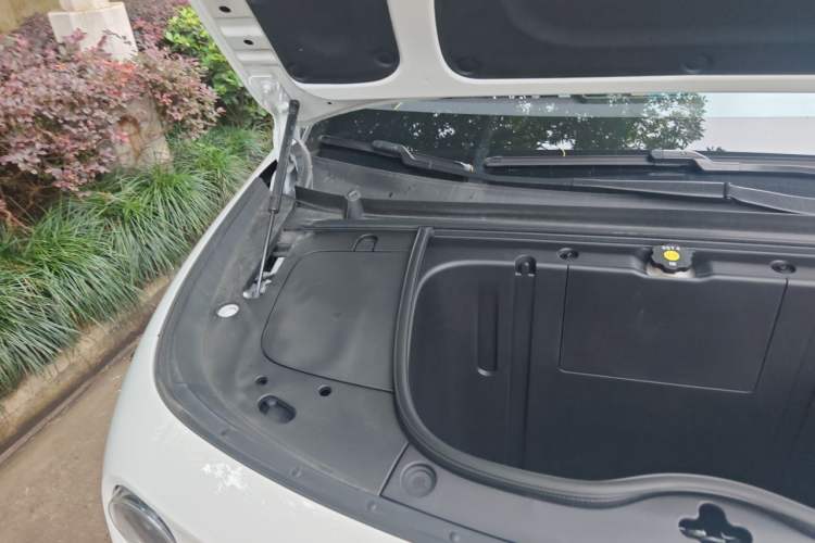Used firefly 2025 Illuminated Edition Engine Bay Right