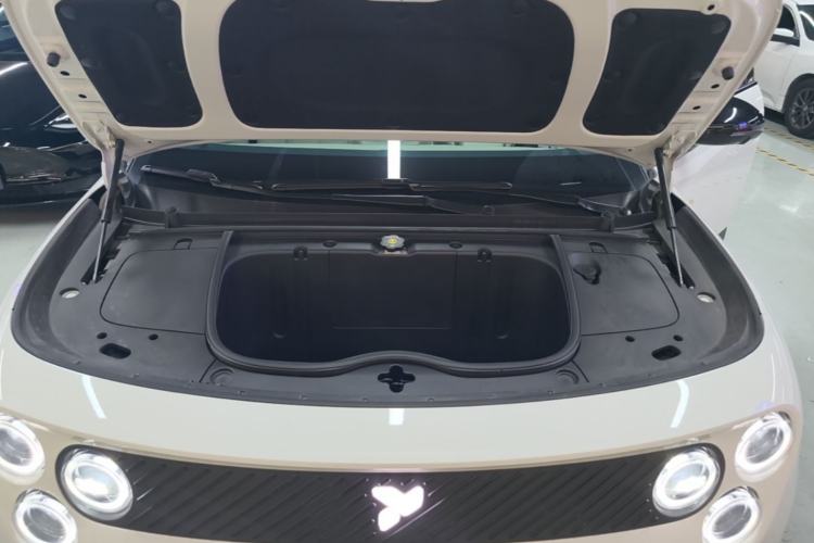 Used firefly 2025 Illuminated Edition Engine Bay
