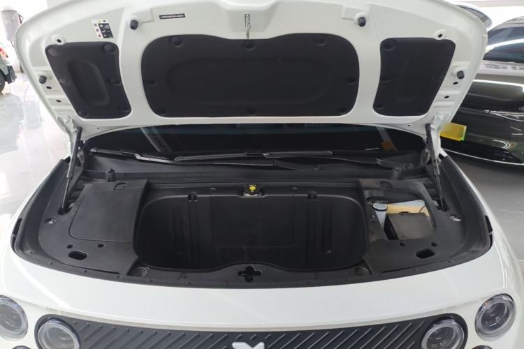 Used firefly 2025 Illuminated Edition Engine Bay