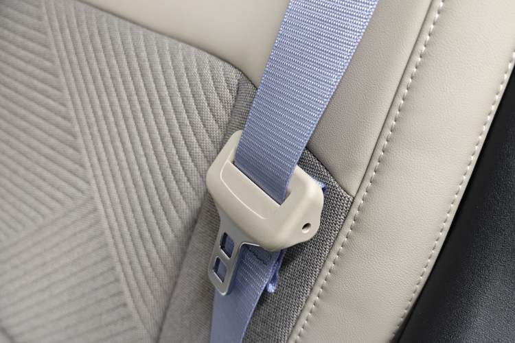Used firefly 2025 Free Edition Interior 10