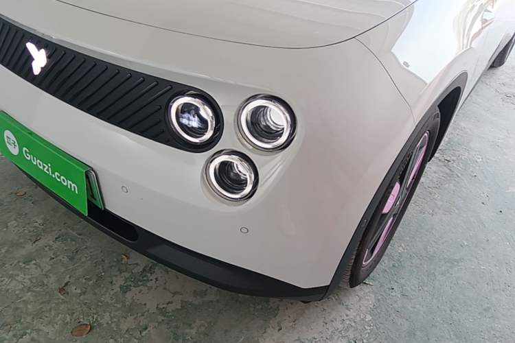 Used firefly 2025 Illuminated Edition Left Front Headlight