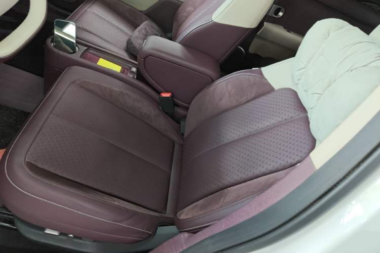 Used firefly 2025 Illuminated Edition Left Front Seat