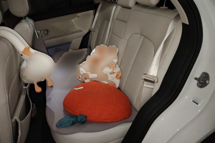Used firefly 2025 Illuminated Edition Left Rear Seat
