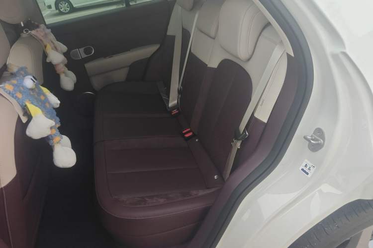 Used firefly 2025 Illuminated Edition Left Rear Seat