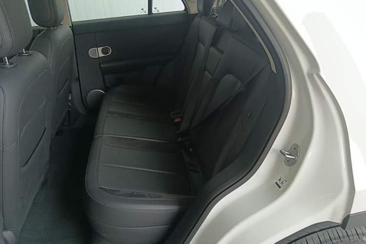 Used firefly 2025 Illuminated Edition Left Rear Seat