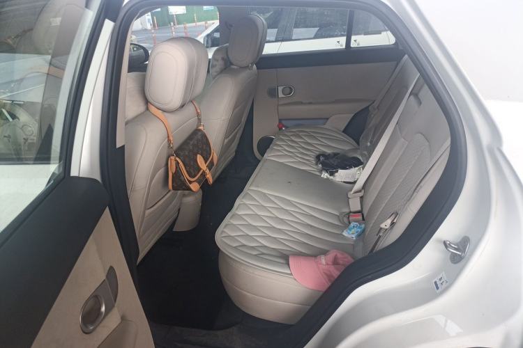 Used firefly 2025 Illuminated Edition Left Rear Seat