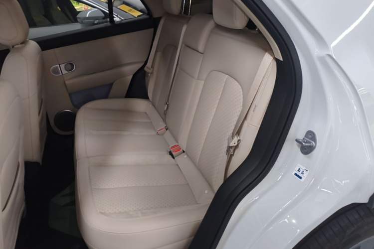 Used firefly 2025 Illuminated Edition Left Rear Seat