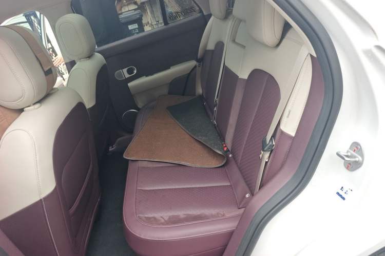 Used firefly 2025 Illuminated Edition Left Rear Seat