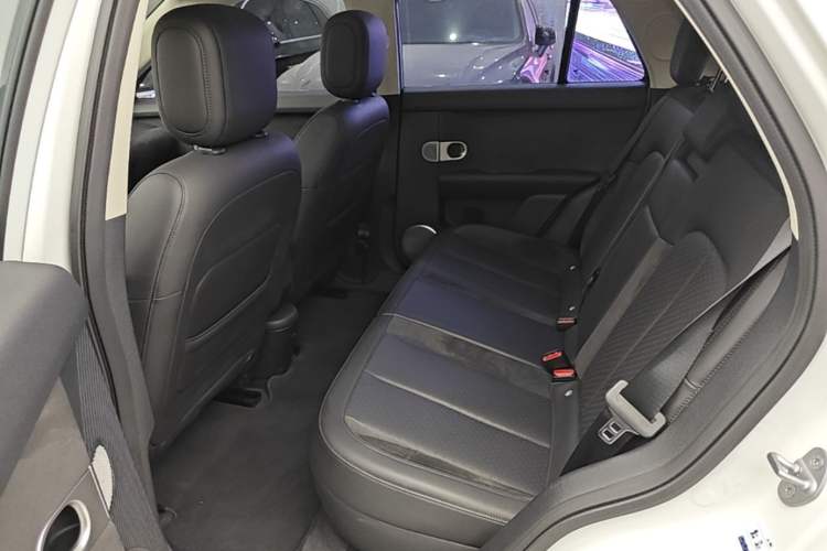 Used firefly 2025 Illuminated Edition Left Rear Seat