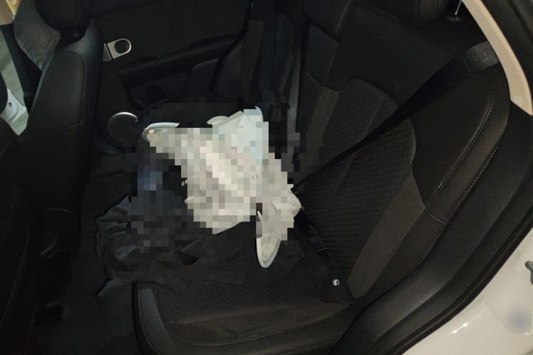 Used firefly 2025 Illuminated Edition Left Rear Seat