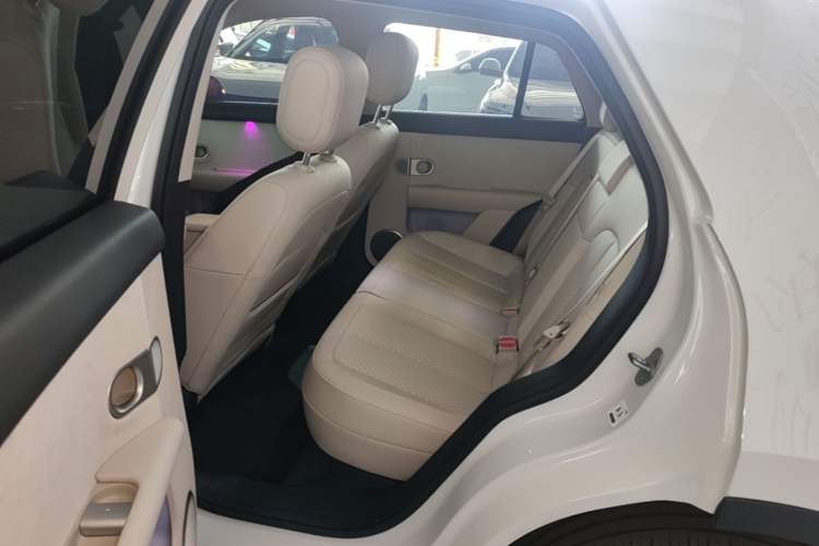 Used firefly 2025 Illuminated Edition Left Rear Seat
