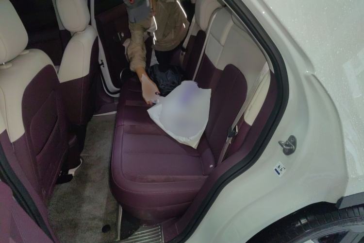 Used firefly 2025 Illuminated Edition Left Rear Seat