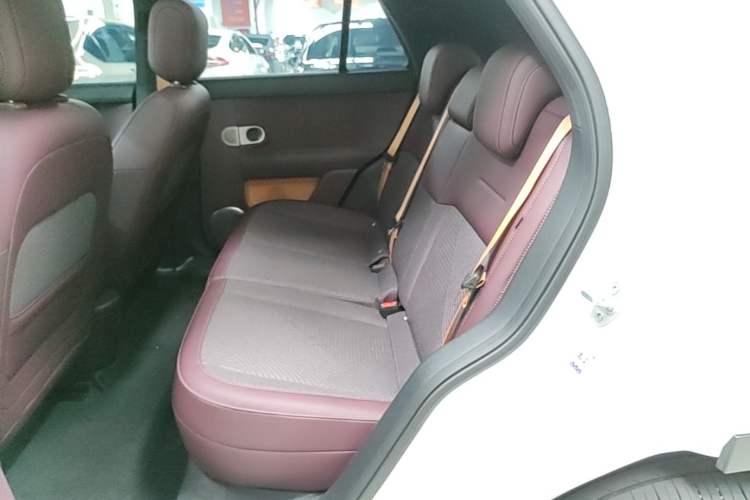 Used firefly 2025 Free Edition Left Rear Seat