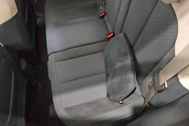 Used firefly 2025 Illuminated Edition Left Rear Seat