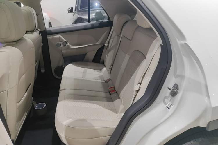 Used firefly 2025 Illuminated Edition Left Rear Seat