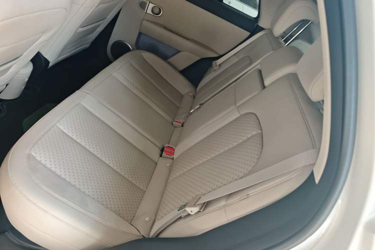 Used firefly 2025 Illuminated Edition Left Rear Seat