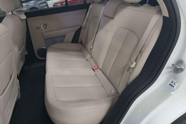 Used firefly 2025 Illuminated Edition Left Rear Seat