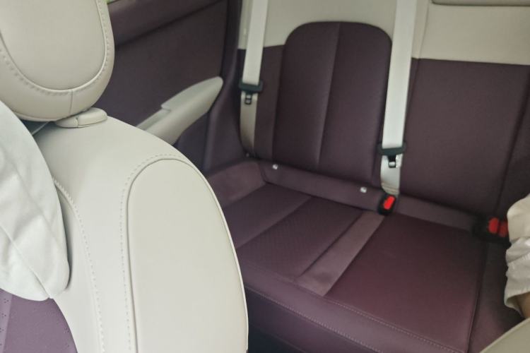 Used firefly 2025 Illuminated Edition Left Rear Seat
