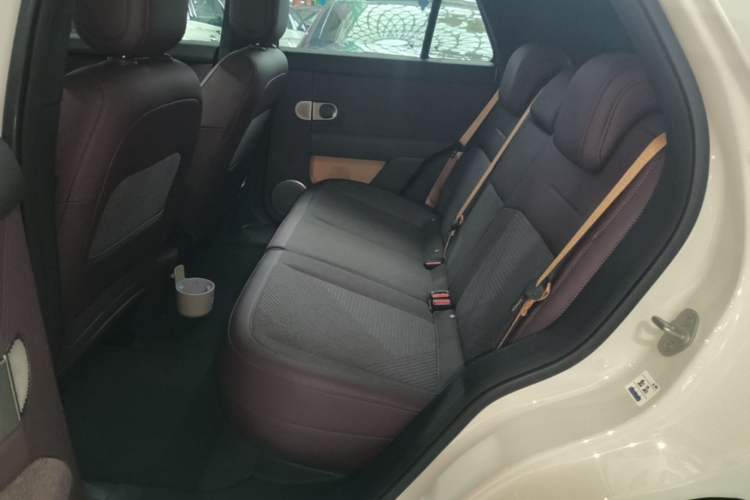 Used firefly 2025 Free Edition Left Rear Seat