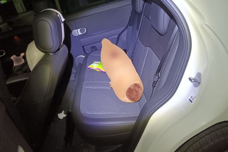 Used firefly 2025 Free Edition Left Rear Seat