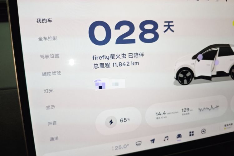 Used firefly 2025 Illuminated Edition Odometer Close Up