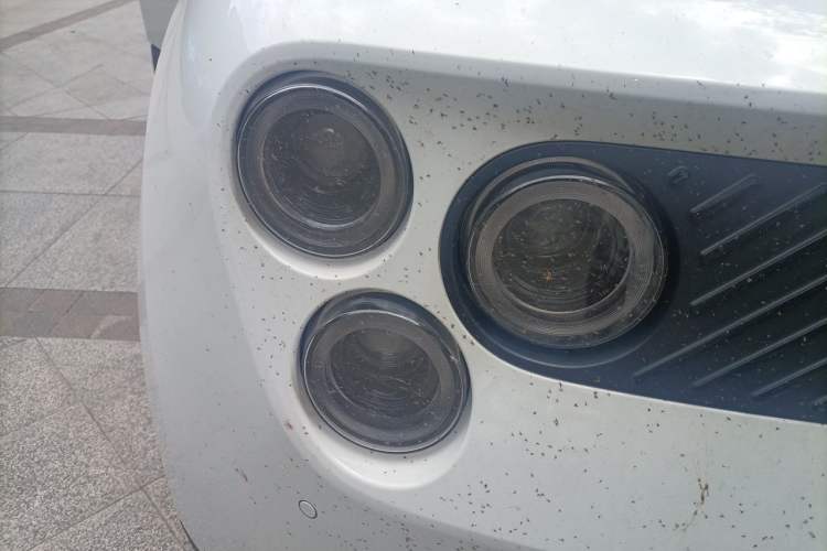 Used firefly 2025 Free Edition Right Front Headlight