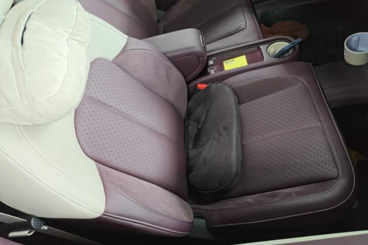Used firefly 2025 Illuminated Edition Right Front Seat