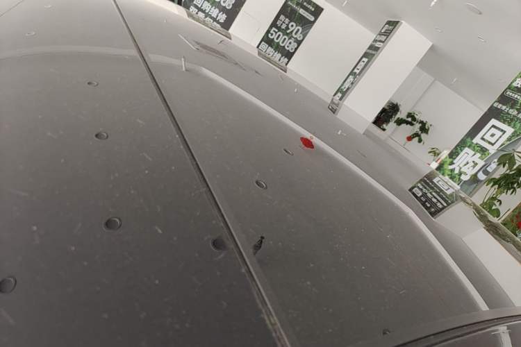 Used firefly 2025 Illuminated Edition Roof