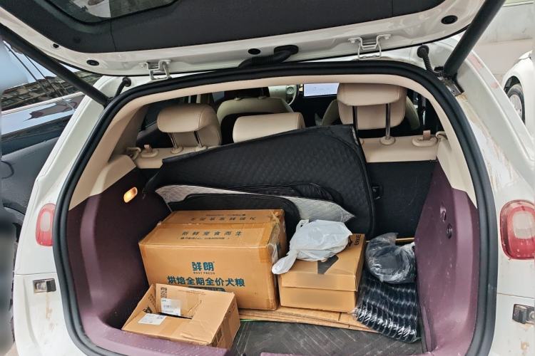 Used firefly 2025 Illuminated Edition Trunk