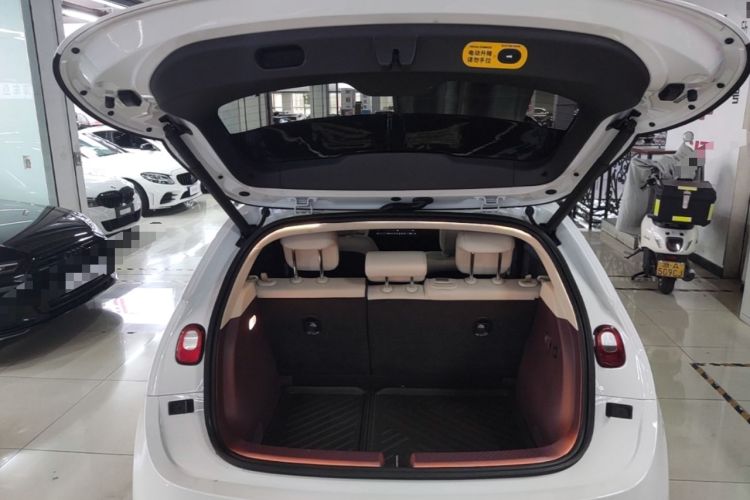Used firefly 2025 Illuminated Edition Trunk