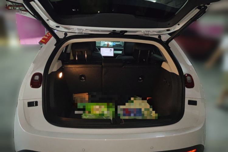 Used firefly 2025 Illuminated Edition Trunk