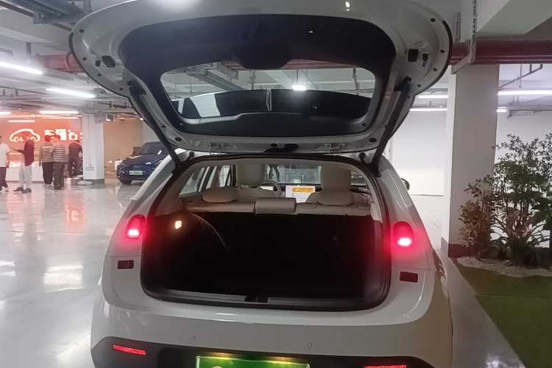 Used firefly 2025 Illuminated Edition Trunk
