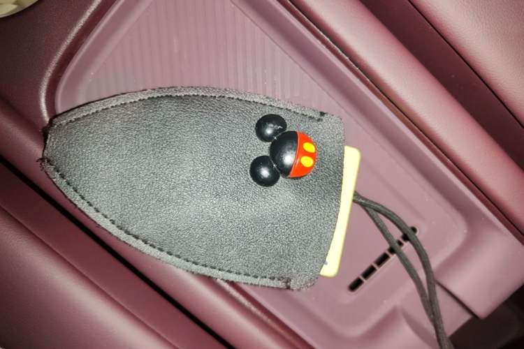 Used firefly 2025 Illuminated Edition Vehicle Key