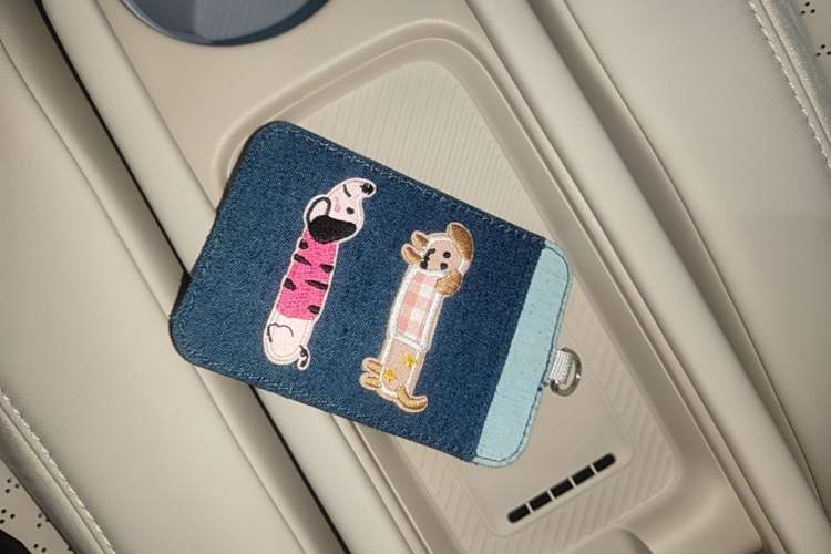 Used firefly 2025 Illuminated Edition Vehicle Key