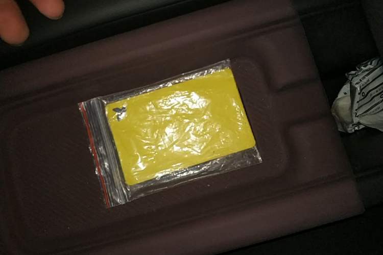 Used firefly 2025 Free Edition Vehicle Key