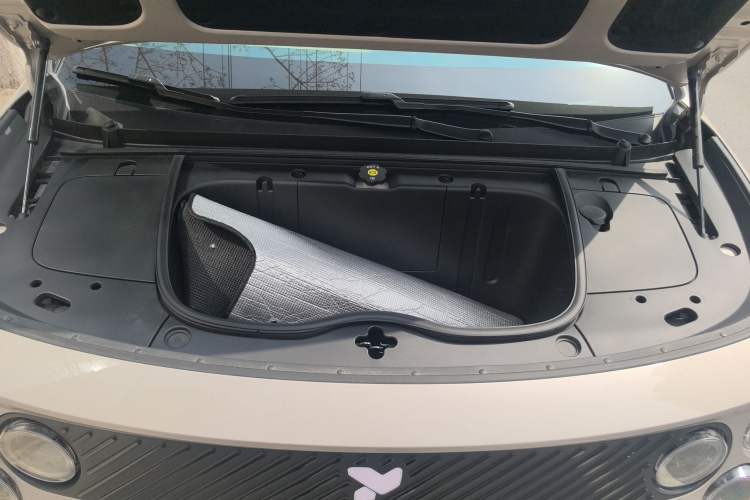 Used firefly 2025 Free Edition Engine Bay