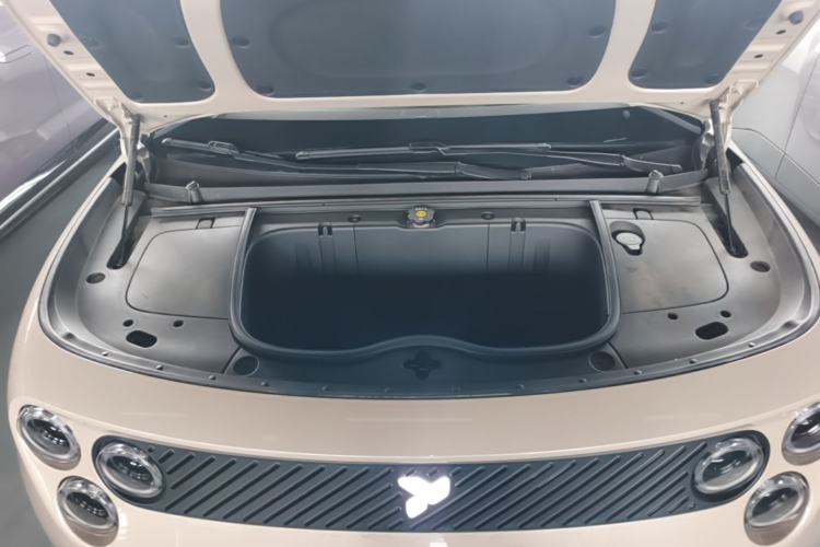 Used firefly 2025 Illuminated Edition Engine Bay