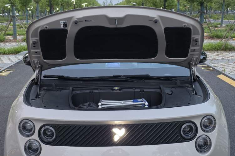 Used firefly 2025 Illuminated Edition Engine Bay