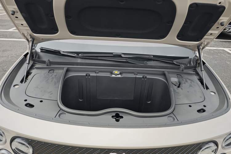 Used firefly 2025 Illuminated Edition Engine Bay