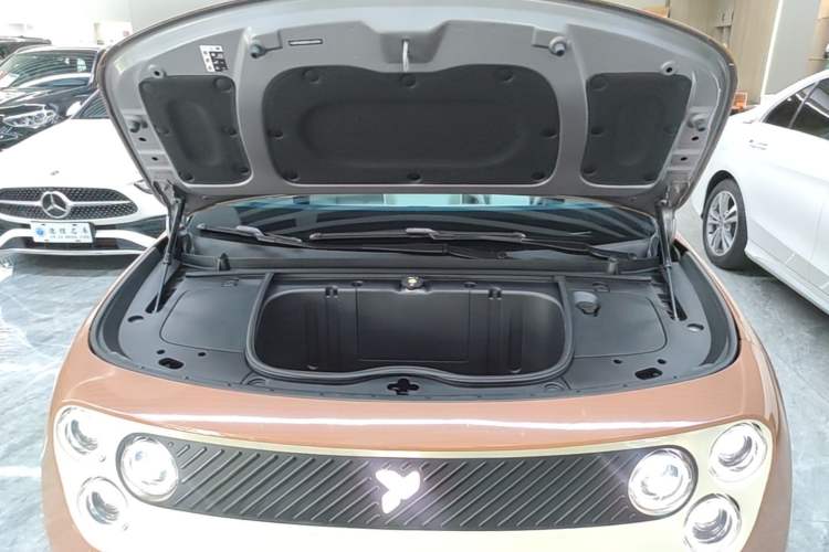 Used firefly 2025 Illuminated Edition Engine Bay
