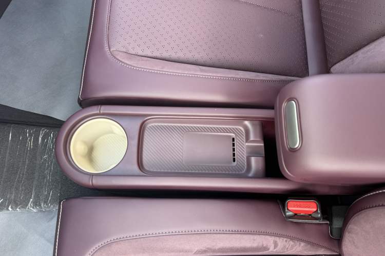 Used firefly 2025 Illuminated Edition Interior 8