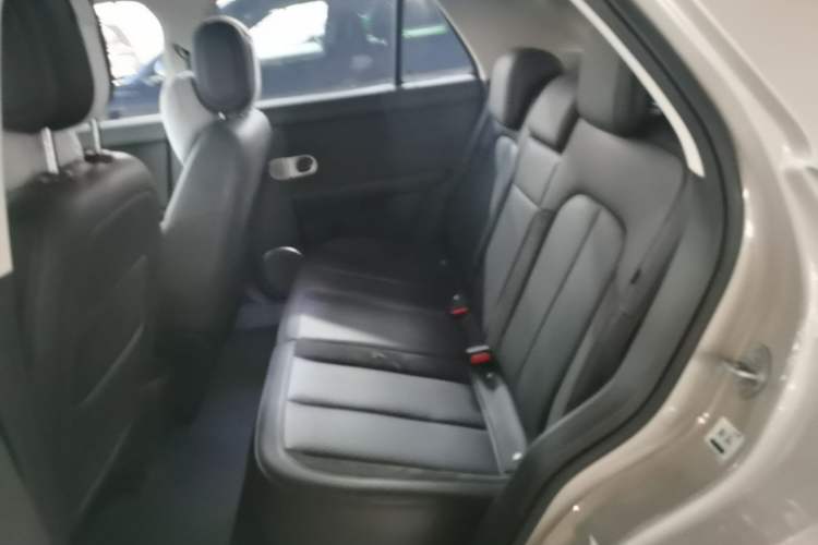 Used firefly 2025 Illuminated Edition Left Rear Seat