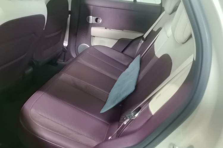 Used firefly 2025 Illuminated Edition Left Rear Seat