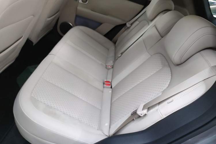 Used firefly 2025 Illuminated Edition Left Rear Seat