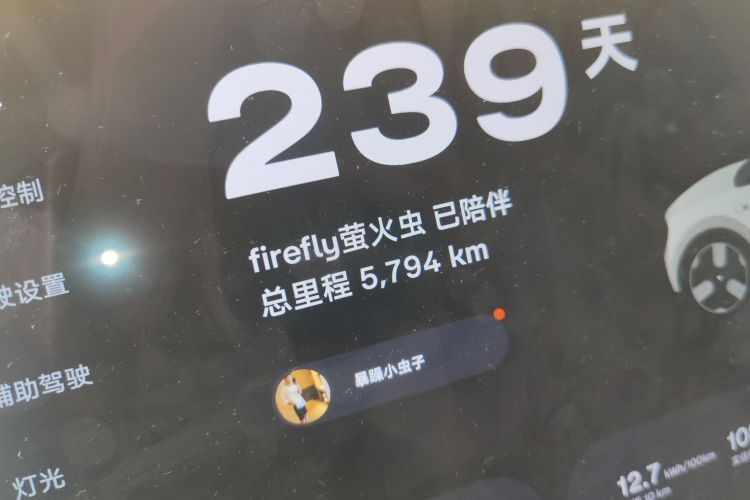 Used firefly 2025 Illuminated Edition Odometer Close Up