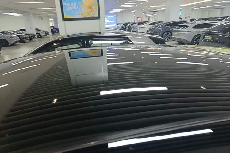 Used firefly 2025 Free Edition Roof