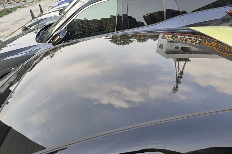 Used firefly 2025 Free Edition Roof