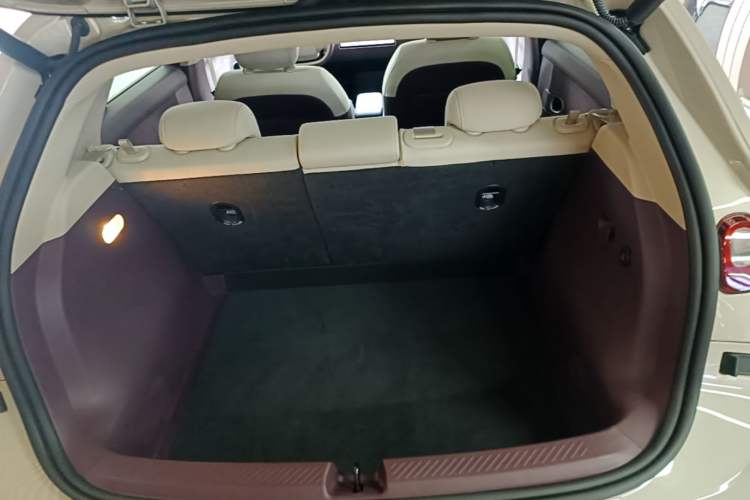Used firefly 2025 Illuminated Edition Trunk